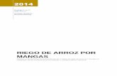 RIEGO DE ARROZ por MANGAS - ACPA