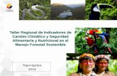 Presentación de Ecuador en el Taller Regional de Indicadores de Cambio Climático y Seguridad Alimentaria y Nutricional en el MFS