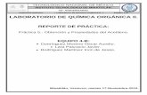 Reporte de Práctica-Obtención y Propiedades del Acetileno.