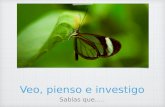Investigacion invertebrados