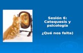 S6 catequesis y psicologia.pptx