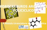 Hidrocarburos aromaticos policiclicos