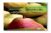 Informe de Costos de Producción Frutícola