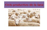 Ciclo productivo de la lana
