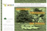 Manual Técnico de Poda NADF-001-RNAT-2006 – 2008