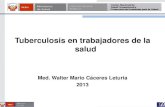 Dr. Walter Cáceres Leturia (CENSOPAS/INS