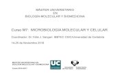 Curso M7: MICROBIOLOGIA MOLECULAR Y CELULAR