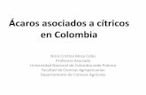 Ácaros asociados a cítricos en Colombia