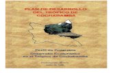 directorio del proyecto plan de desarrollo del tropico de cochabamba