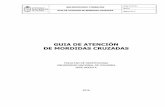 GUIA DE ATENCIÓN DE MORDIDAS CRUZADAS
