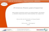 Primeros Pasos para Exportar - REDIEX 2009