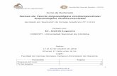 Temas de Teoría Arqueológica Contemporánea: Arqueologías ...