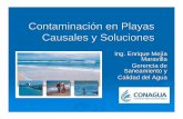 Contaminación en Playas Causales y Soluciones