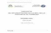 PROYECTO DE DIFERENCIACION DE LA MIEL DE LA PROVINCIA ...