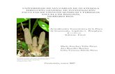 Actualización taxonómica de la flora de Guatemala