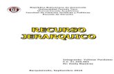 Recurso Jerárquico (Esquema).