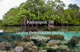 Presentasi usaha konservasi mangrove