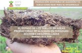 El estado de los suelos en áreas productoras de algodón en Paraguay: acciones desarrolladas  -  Presentación Ken Moriya, MAG, PAraguay.