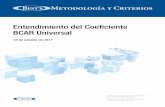 Entendimiento del coeficiente BCAR Universal