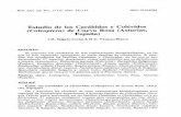 Estudio de los Carábidos y Colévidos (Coleóptera) de Cueva Rosa ...