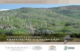 Programa de manejo de la Reserva de la Biosfera Tehuacán ...