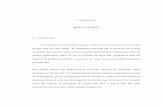 Capítulo 2. Marco Teórico (archivo pdf, 129 kb)