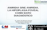 aniridia sine aniridia. la hipoplasia foveal como dato diagnóstico.