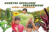 Manual Huerto Escolar - Pura Vida 2015.pdf