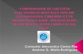 Andrea Malla - Consuelo Cerna.pdf