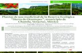 Plantas de uso medicinal de la Reserva Ecológica “Sierra de ...