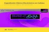 Expediente Clínico Electrónico en Colima
