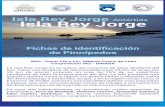 Catálogo de identificación de Pinnípedos en Isla Rey Jorge, Antártida