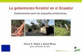 La gobernanza forestal en el Ecuador: Implicaciones para los ...