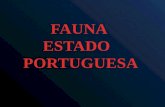 Fauna estado portuguesa