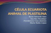 Célula ecuariota animal de plastilina