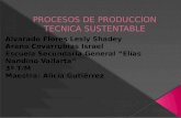 Procesos de produccion tecnica sustentable.2