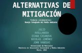 Alternativas de Mitigación Wiki12