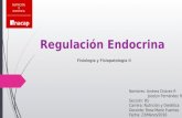 Regulación Endocrina