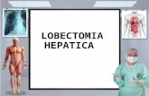 Lobectomia hepatica