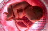 Actualización del protocolo de cesareas.