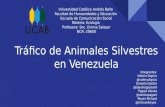 Tráfico de animales en Venezuela