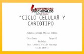 Ciclo celular y cariotipo