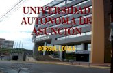 Universidad Autónoma de Asunción 2do Parcial TIC