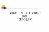 CERNIQUEM - ACTIVITIES 2008