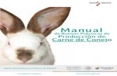 Manual de Buenas Prácticas de Producción de Carne de Conejo El ...
