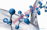 Biomoléculas expo