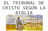 El tribunal de Cristo según la biblia