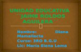 Unidad Educativa Fiscomisional "Jaime Roldos Aguilera"