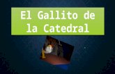 EL GALLITO DE LA CATEDRA; ALI GUANOCHANGA 7mo "A"