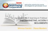 La gestión del e-learning en Publicar: Endomarketing, acción y seguimiento.